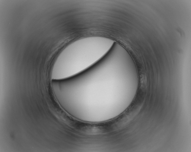 X0000115600254200911100958