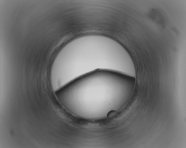 X0000115600256200911100958