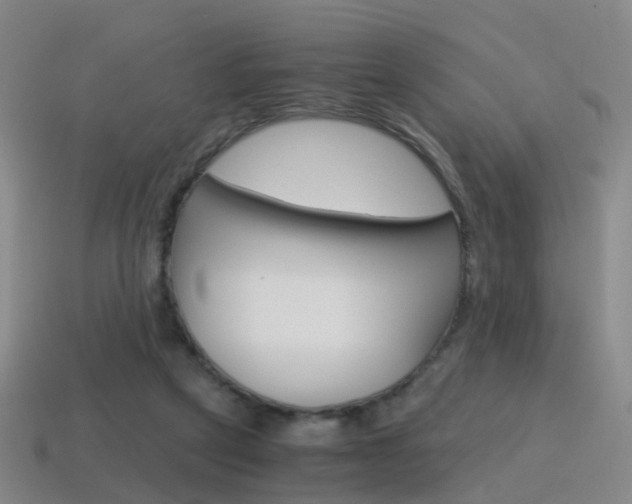 X0000115600257200911100958