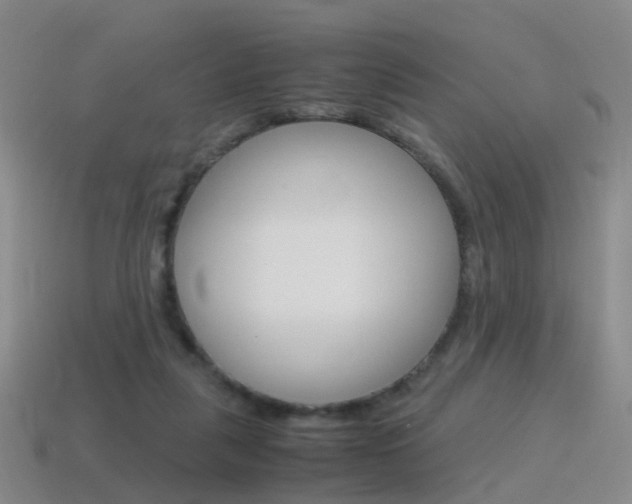 X0000115600259200911100958