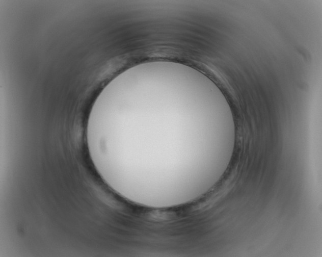 X0000115600261200911100958