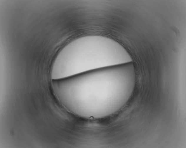 X0000115600262200911100958