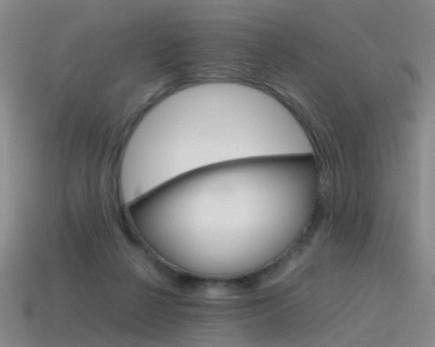 X0000115600264200911100958