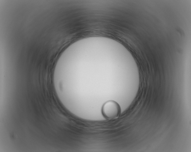 X0000115600268200911100958
