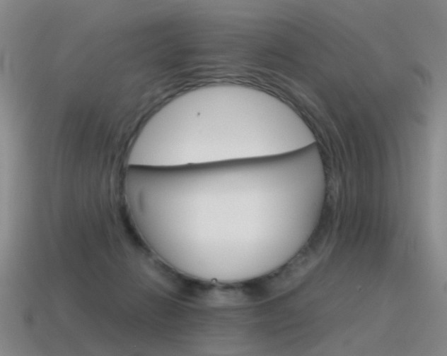 X0000115600270200911100958