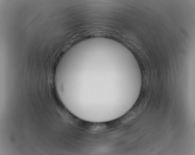 X0000115600274200911100958