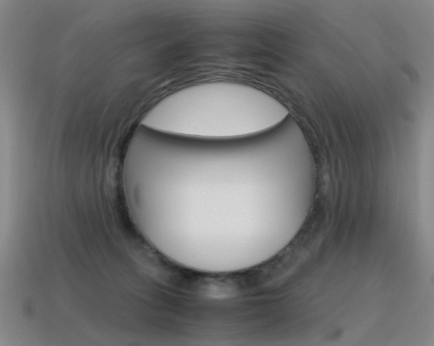 X0000115600275200911100958