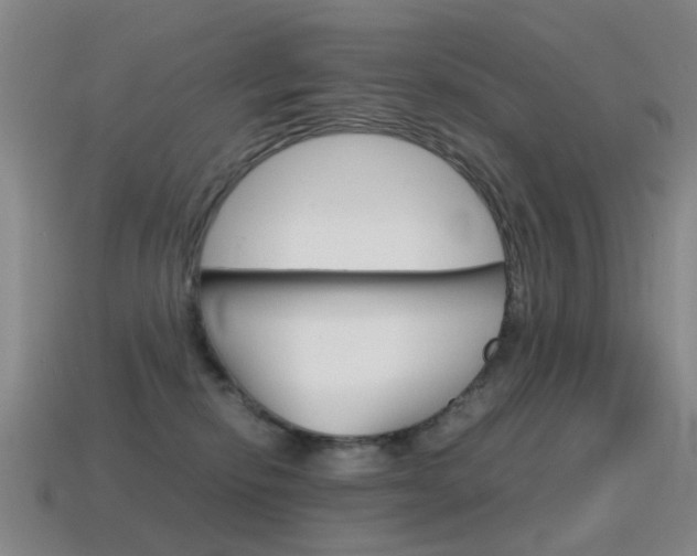 X0000115600278200911100958