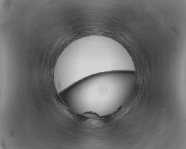 X0000115600280200911100958
