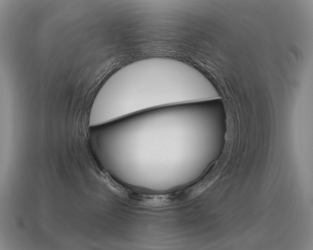 X0000115600288200911100958