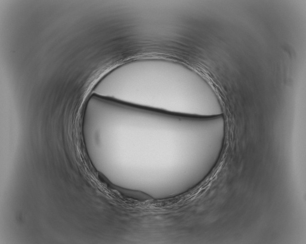 X0000115600289200911100957