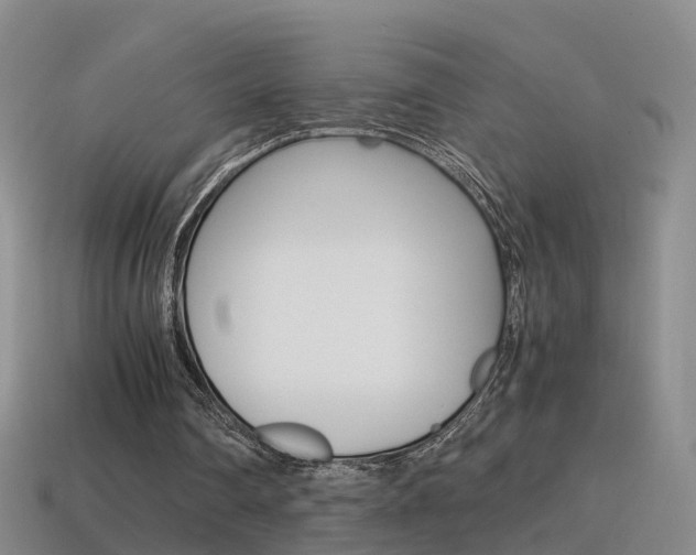 X0000115600290200911100957