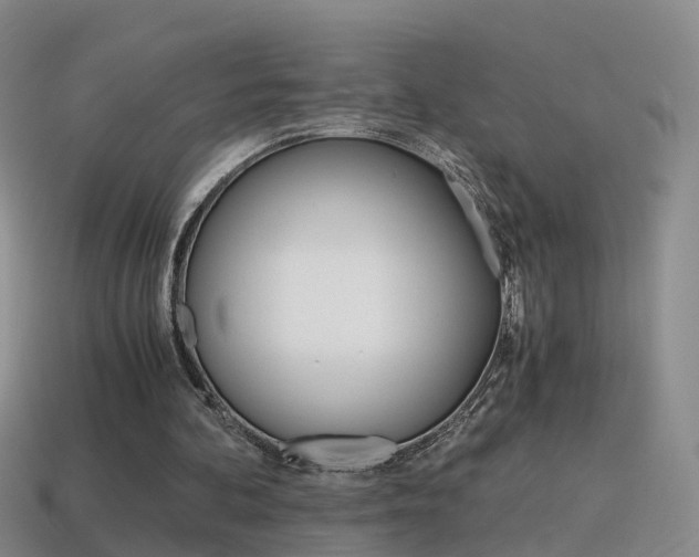 X0000115600292200911100957