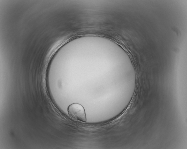 X0000115600293200911100957