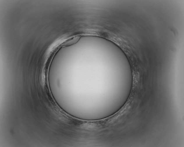 X0000115600294200911100957