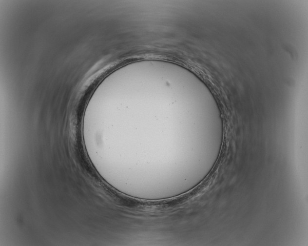 X0000115600295200911100957