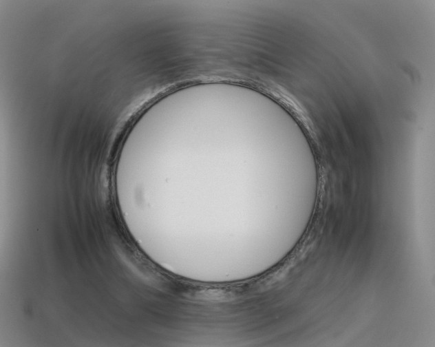 X0000115600298200911100957