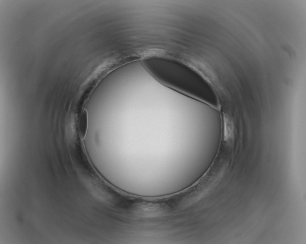X0000115600300200911100957
