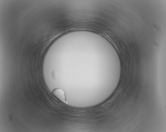 X0000115600301200911100957