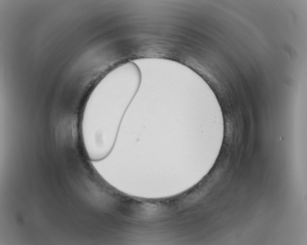 X0000115600302200911100957