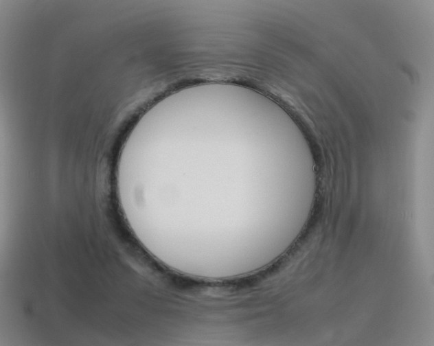 X0000115600303200911100957