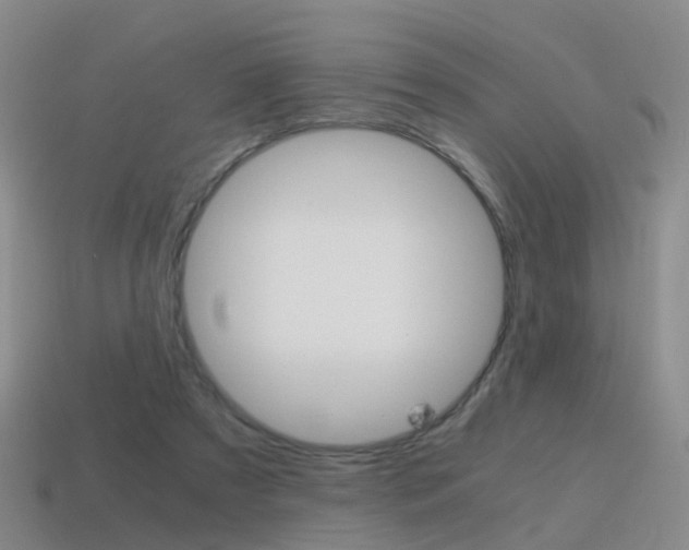 X0000115600305200911100957