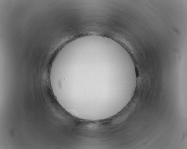 X0000115600306200911100957