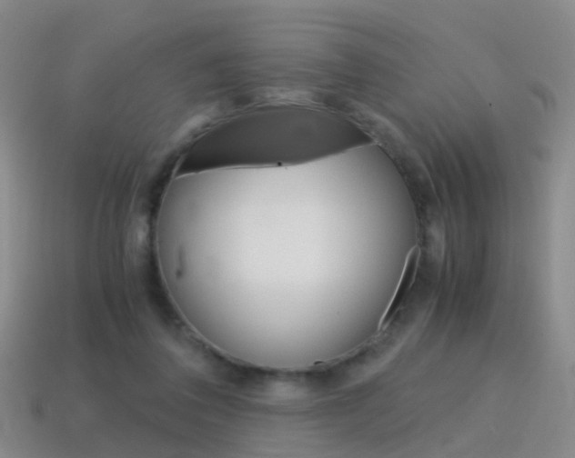 X0000115600308200911100957