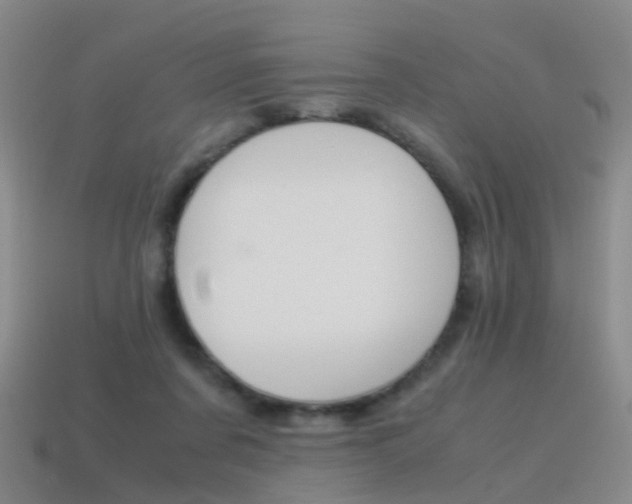 X0000115600311200911100957