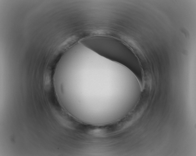 X0000115600312200911100957