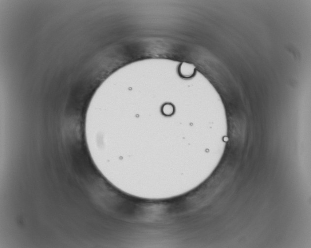 X0000115600313200911100957