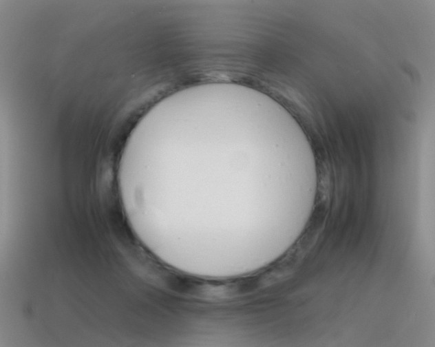 X0000115600314200911100957