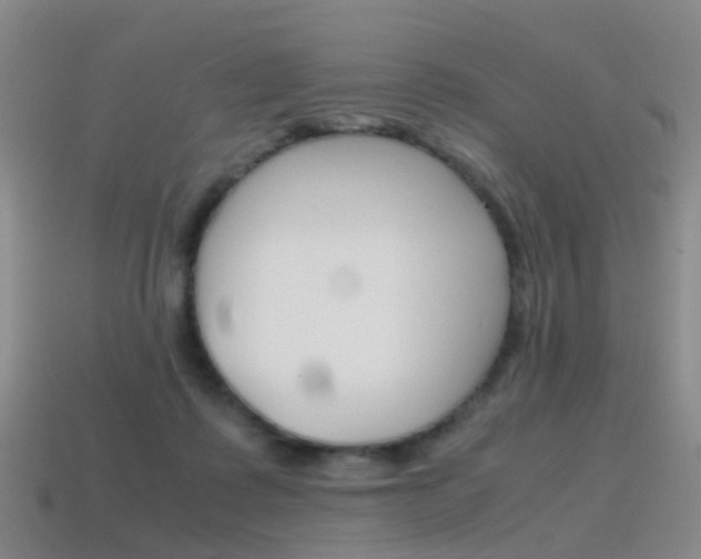 X0000115600315200911100957