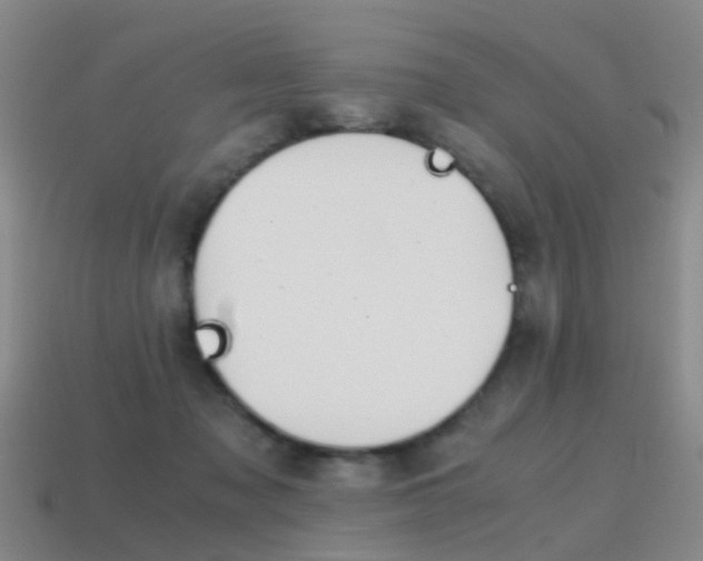 X0000115600317200911100957