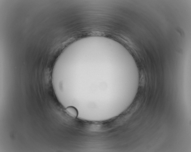 X0000115600318200911100957