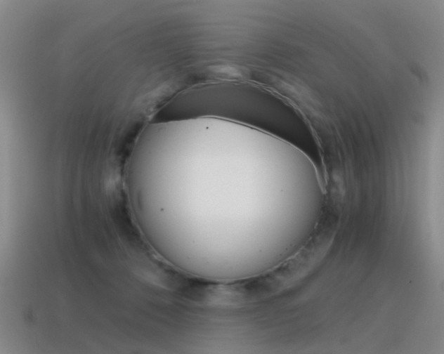 X0000115600320200911100957
