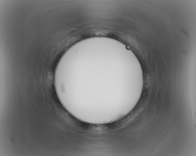 X0000115600321200911100957