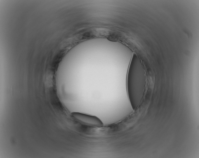 X0000115600323200911100957