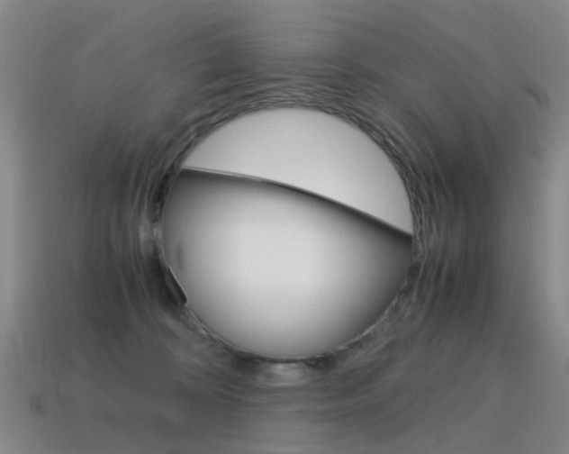 X0000115600324200911100957