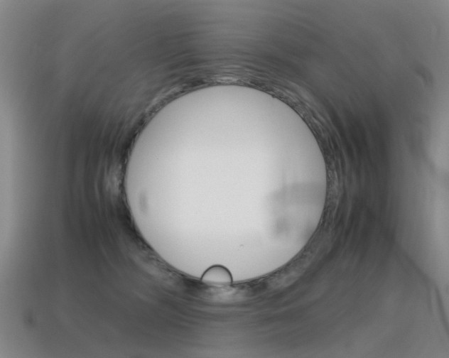 X0000115600326200911100957