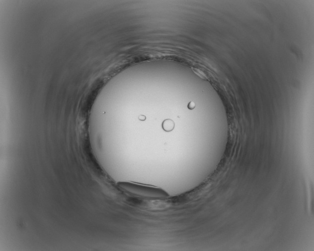 X0000115600327200911100957