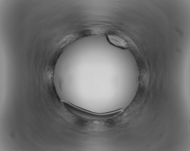 X0000115600329200911100957