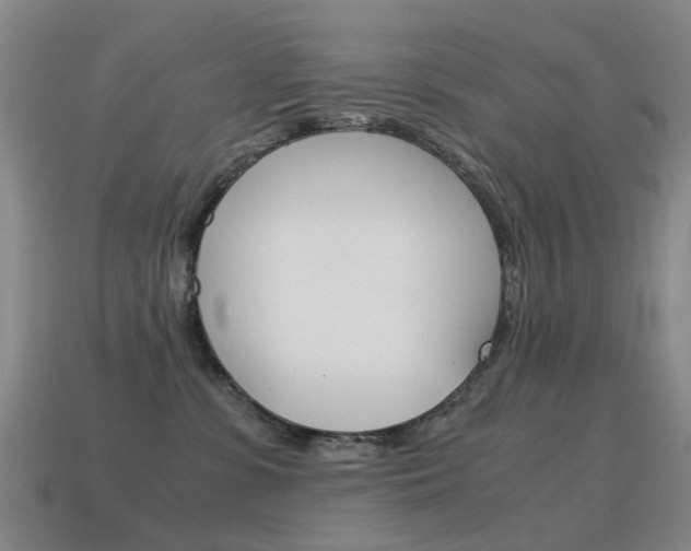 X0000115600331200911100957