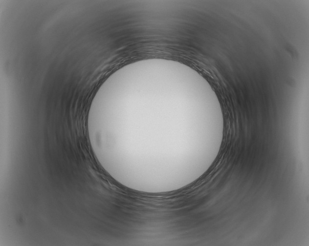 X0000115600332200911100957