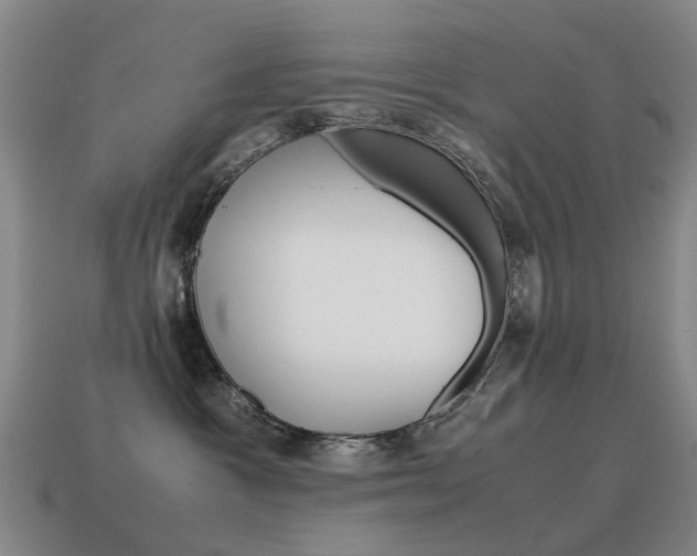 X0000115600333200911100957