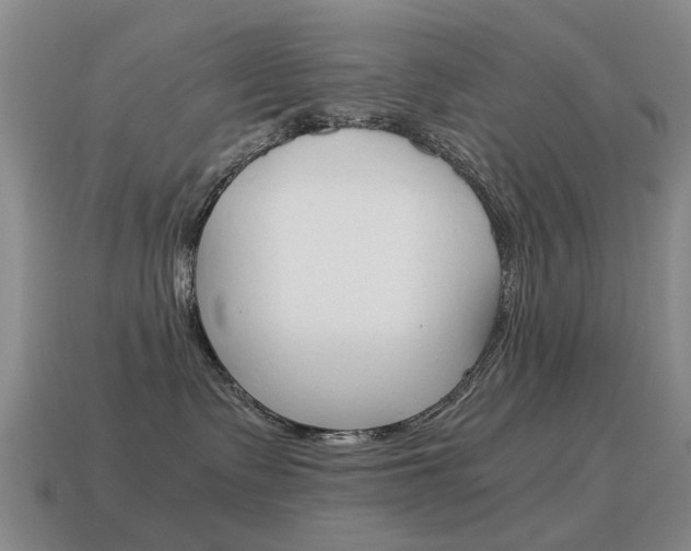X0000115600335200911100957