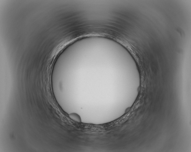 X0000115600337200911100956