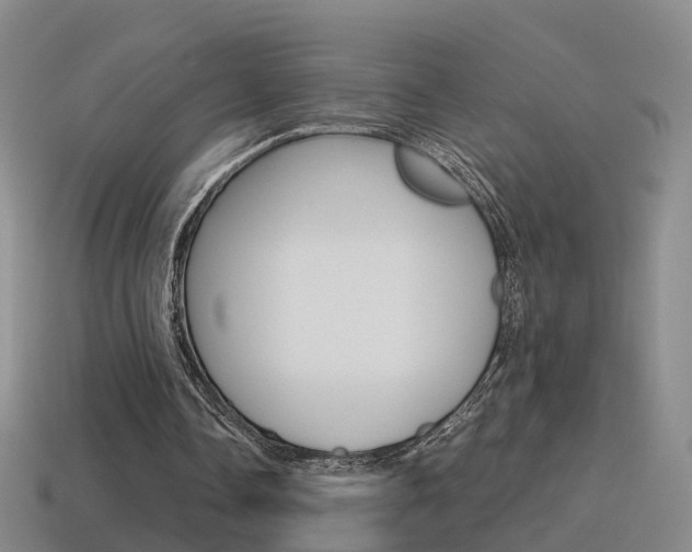 X0000115600338200911100956