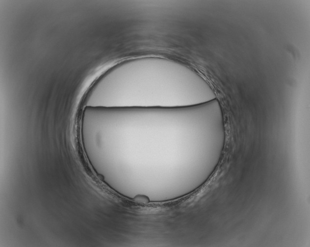 X0000115600342200911100956