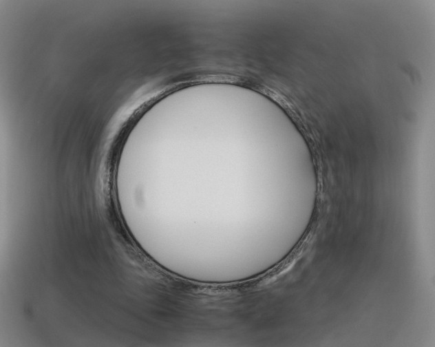 X0000115600343200911100956